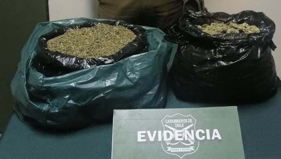 Un adulto y dos adolescentes fueron detenidos tras ser sorprendidos portando 2 kilos de marihuana en Petorca