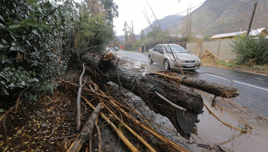 Sistema frontal provocó caída de árboles e inundaciones a lo largo del país