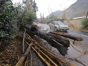 Sistema frontal provocó caída de árboles e inundaciones a lo largo del país