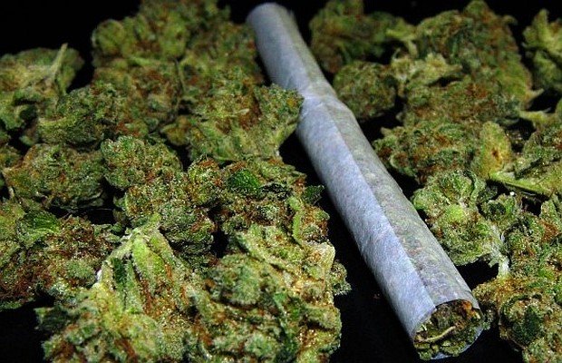 Sociólogo asegura que las políticas que atacan el uso de la marihuana no contribuyen a disminuir su consumo