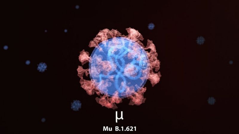 Qué se sabe de la variante Mu, detectada en varios países de Sudamérica y que la OMS vigila