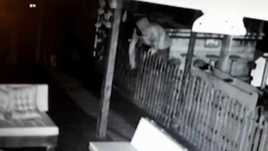 Dueño frustró robo en su casa en Las Condes: fue alertado por los ladridos de sus perros y vio a delincuente por cámara