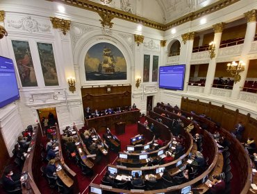 Tras su aprobación en general: Lo que viene en la votación del reglamento de la Convención Constitucional