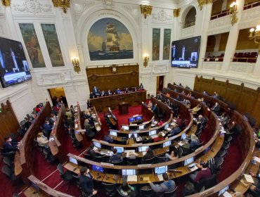 Encuesta CEP: Confianza en la Convención Constitucional atriplica la del Congreso Nacional