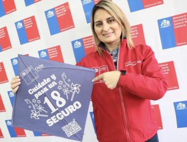 Columna de opinión de Leslie Briones, seremi de Gobierno de Valparaíso: "Esperamos que en estas Fiestas Patrias puedan disfrutar en familia"