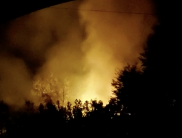Tres cabañas y una bodega fueron quemadas en nuevo ataque incendiario entre Contulmo y Cañete