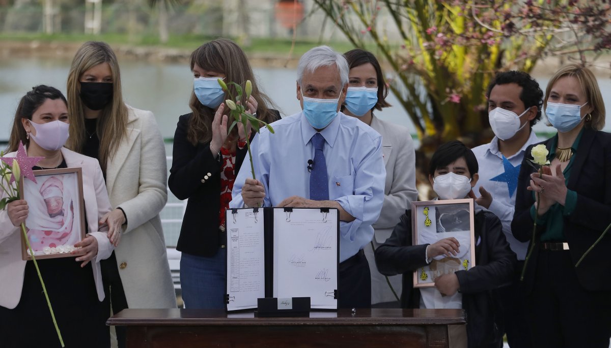 Presidente Piñera promulga la Ley Dominga que brinda apoyo ...