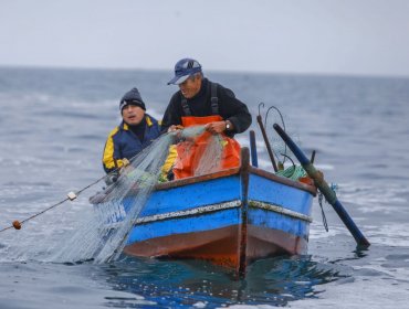 Comisiones de Constitución y Pesca de la Cámara aprueban en particular proyecto que anula la actual Ley de Pesca