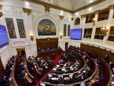 Tras renuncia de Rojas Vade: Senadores anuncian proyecto para resolver problemas de vacancia en Convención Constitucional
