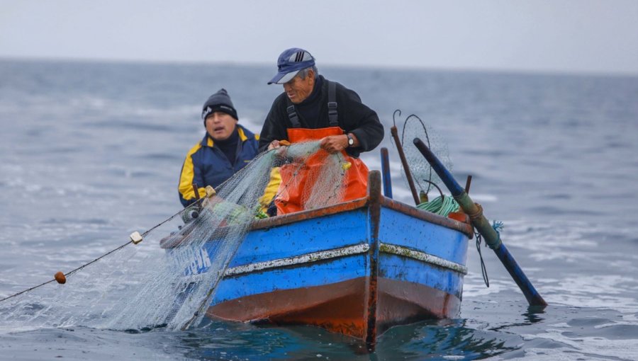 Comisiones de Constitución y Pesca de la Cámara aprueban en particular proyecto que anula la actual Ley de Pesca