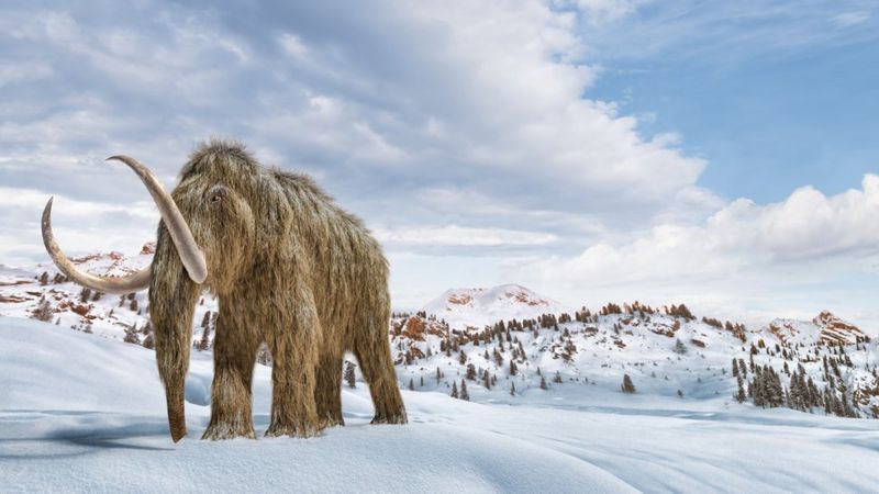 Científicos quieren "resucitar" mamuts para luchar contra el cambio climático