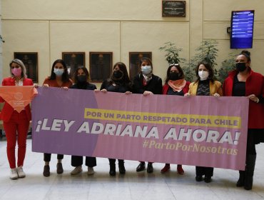 Ley Adriana: Comisión de la Cámara aprueba en particular el proyecto que sanciona la violencia ginecobstétrica y promueve el parto respetado