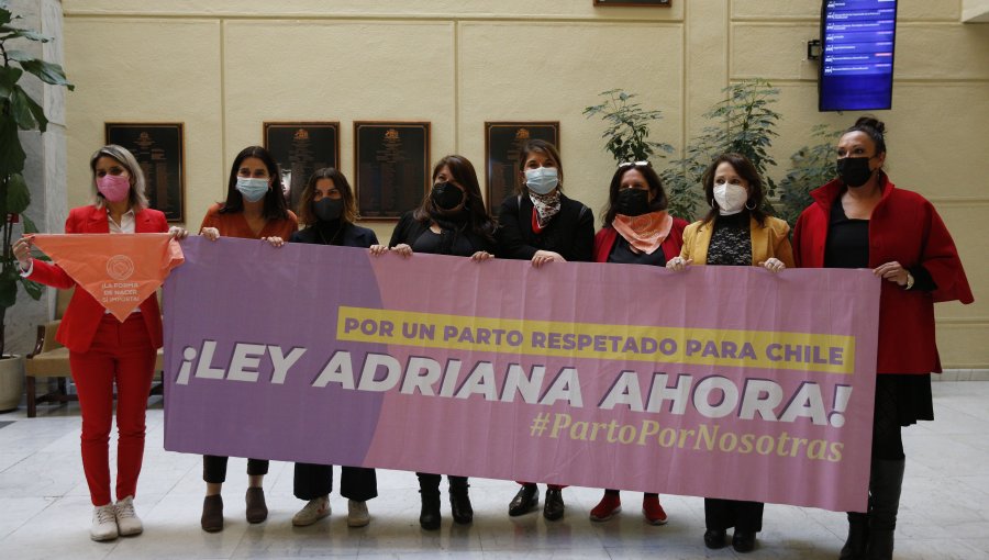 Ley Adriana: Comisión de la Cámara aprueba en particular el proyecto que sanciona la violencia ginecobstétrica y promueve el parto respetado