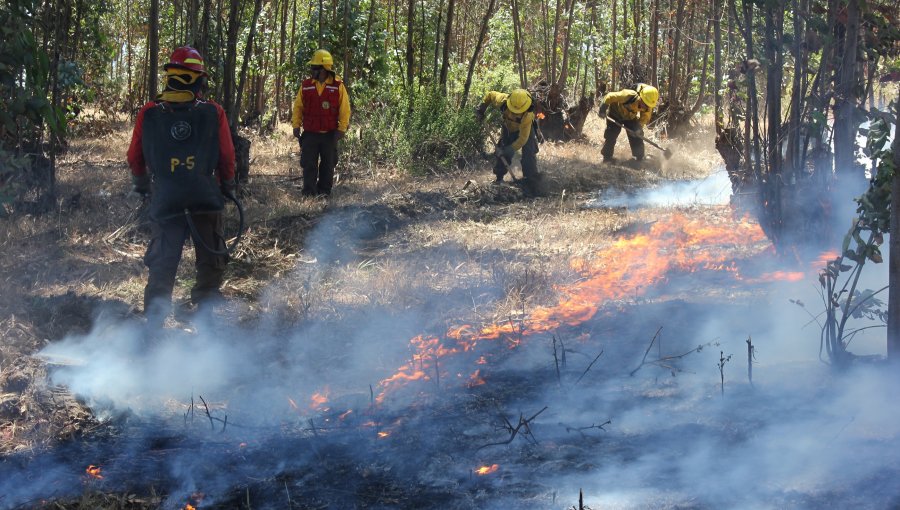 Conaf continúa reclutando brigadistas para combatir incendios forestales en la región de Valparaíso