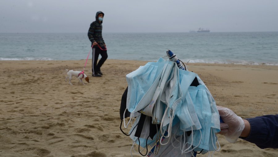 Viña del Mar se suma al compromiso para el cuidado de los océanos y costas