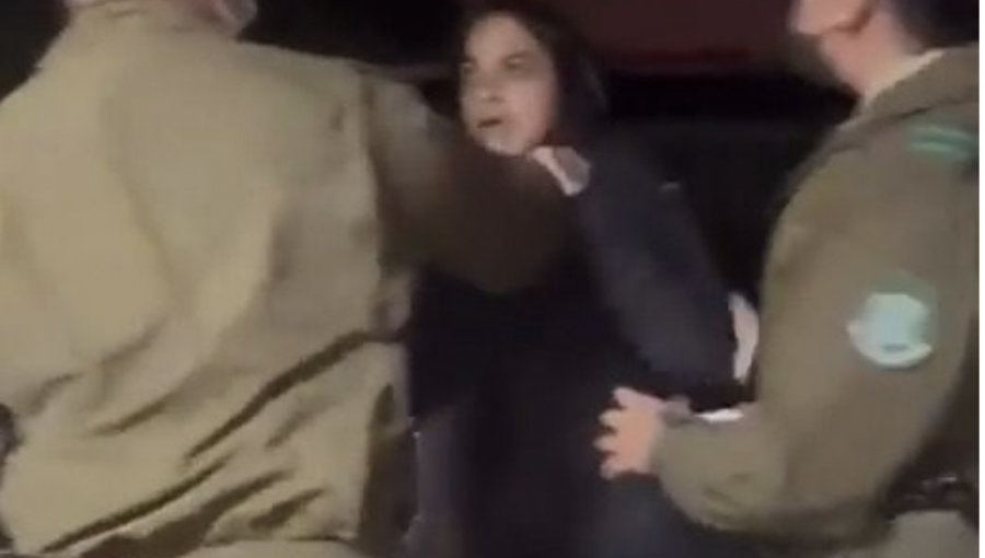 Dan de baja a carabinero que agredió a constituyente Tiare Aguilera durante detención