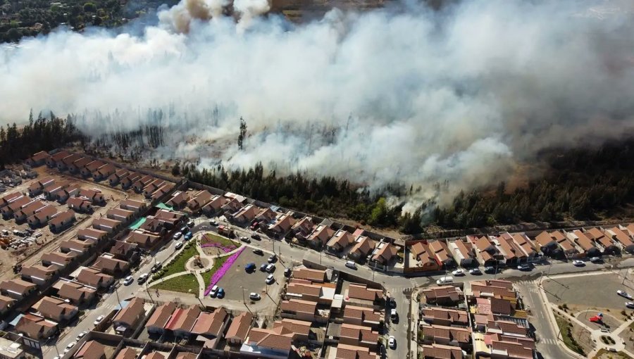 Decretan Alerta Roja para Ovalle por incendio forestal cercano a sectores poblados: ordenan evacuación preventiva