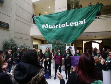 Sala de la Cámara discutirá y votará este martes el proyecto que despenaliza el aborto hasta las 14 semanas