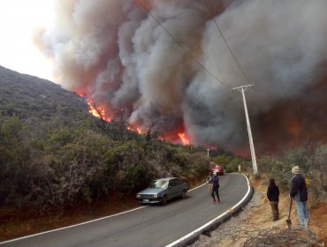 Solicitan evacuar sectores de Lo Marín y Capilla de Caleu en Tiltil por voraz incendio forestal