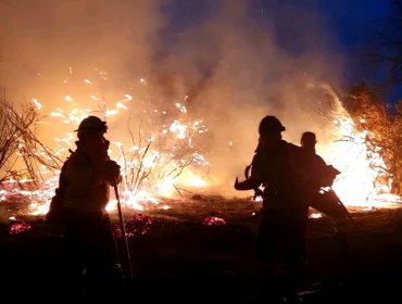 12 casas quemadas y cerca de 100 hectáreas consumidas en incendio forestal en Tiltil