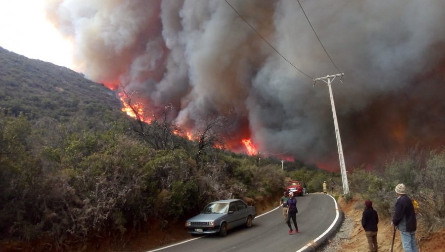 Solicitan evacuar sectores de Lo Marín y Capilla de Caleu en Tiltil por voraz incendio forestal