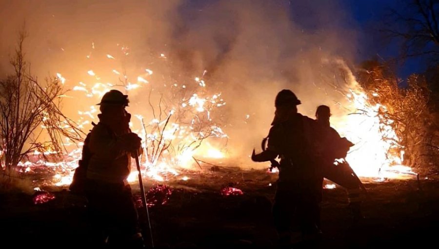 12 casas quemadas y cerca de 100 hectáreas consumidas en incendio forestal en Tiltil