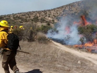Refuerzan llamado a la prevención de incendios forestales en la provincia de Petorca