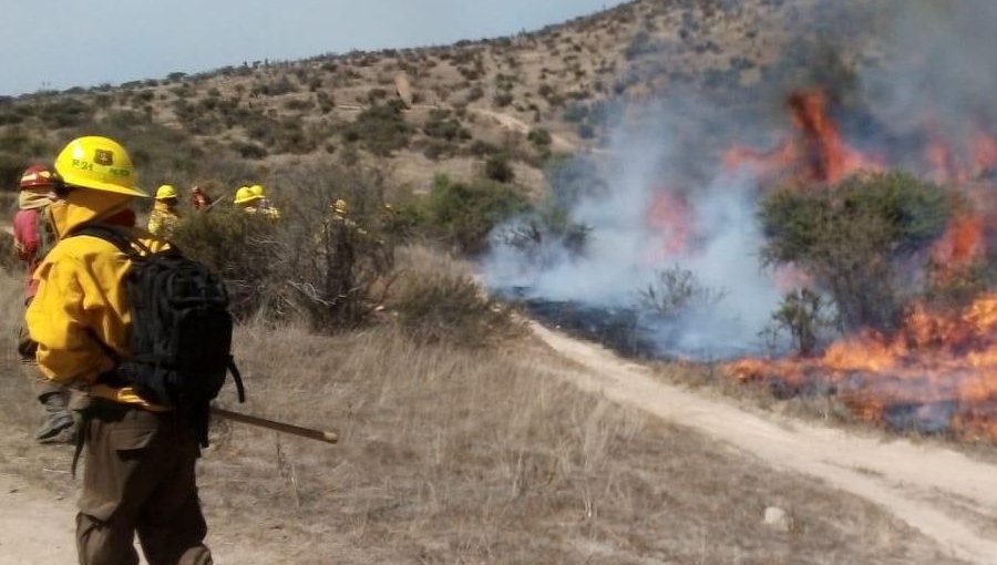 Refuerzan llamado a la prevención de incendios forestales en la provincia de Petorca