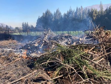Conaf prohíbe las quemas agrícolas y forestales para prevenir incendios en la región de Valparaíso