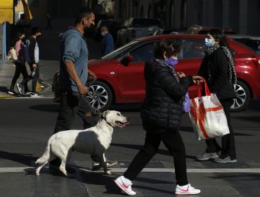 Conozca de qué comunas son los 59 casos nuevos de coronavirus en la región de Valparaíso