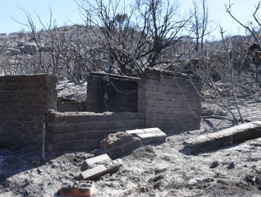 13 viviendas afectadas y 20 personas damnificadas por incendio forestal en Tiltil