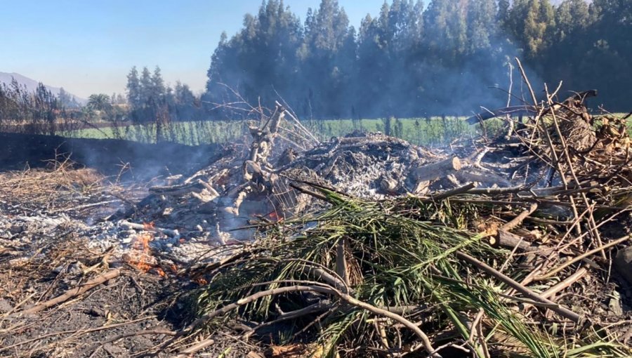 Conaf prohíbe las quemas agrícolas y forestales para prevenir incendios en la región de Valparaíso