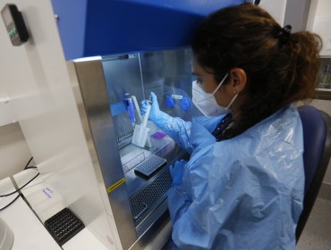 Confirman seis casos probables de variante Delta en La Ligua: se espera el resultado de la prueba genómica