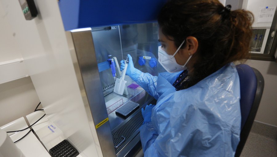 Confirman seis casos probables de variante Delta en La Ligua: se espera el resultado de la prueba genómica