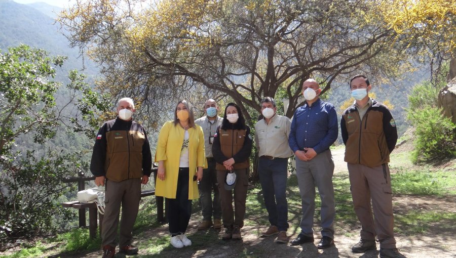 Cumbre del Parque Nacional La Campana vuelve a estar abierta después de un año y medio