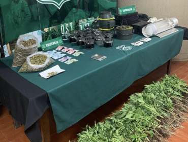 Decomisan 89 plantas y 1,3 kilos de marihuana tras ingresar a un domicilio en La Calera