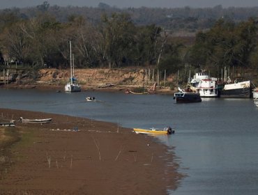 Tres problemas inesperados que está generando en Sudamérica la histórica sequía del río Paraná