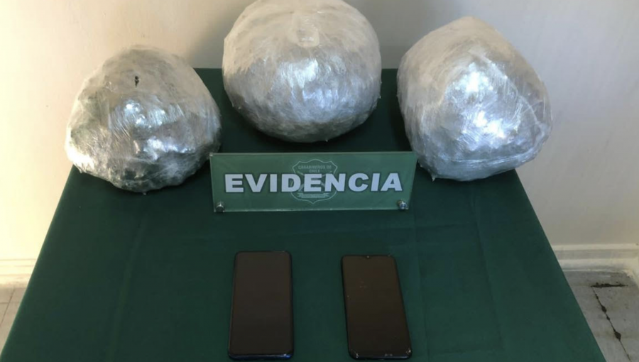 Perro policial detecta esferas con droga en ruta de La Ligua: decomisan casi 4 kilos de marihuana
