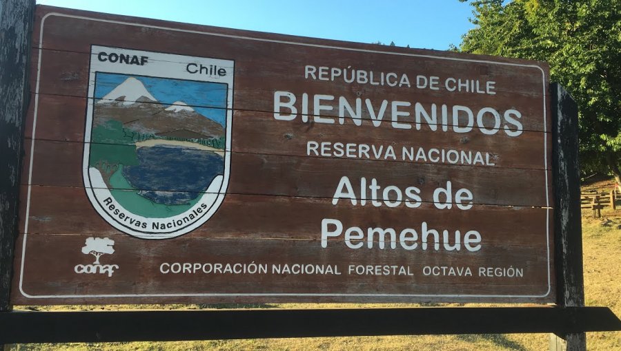 Conaf ofició a la Fiscalía de Collipulli por toma armada en Reserva Nacional Altos de Pemehue