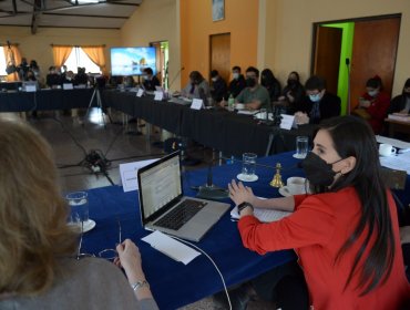 En Reñaca Alto: Concejo Municipal de Viña del Mar sesionó por primera vez en terreno