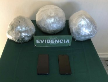 Perro policial detecta esferas con droga en ruta de La Ligua: decomisan casi 4 kilos de marihuana