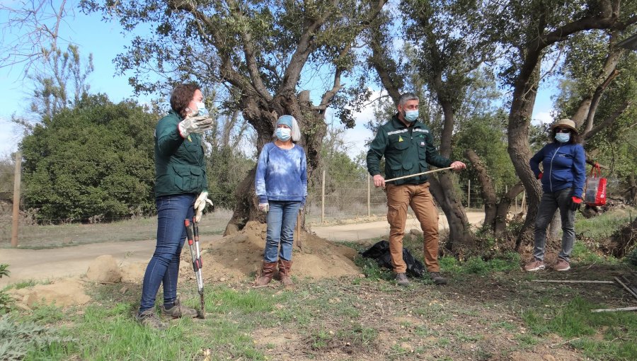 Vecinos de Papudo aprenden a manejar la vegetación para prevenir incendios forestales