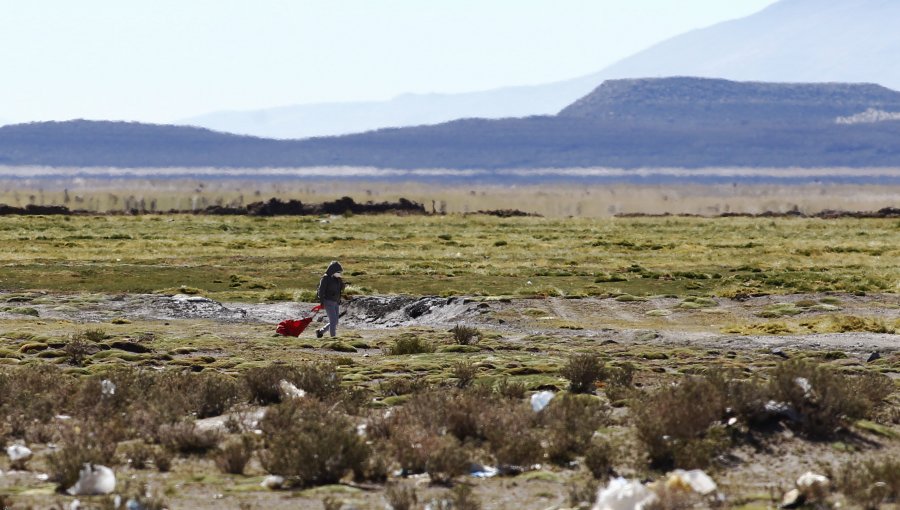 Nueva muerte en la frontera con Colchane: Mujer es encontrada sin vida cercano a paso ilegal