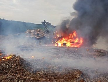 A sólo horas del anuncio de Estado de Emergencia: queman máquinas y camiones en faena forestal de Traiguén