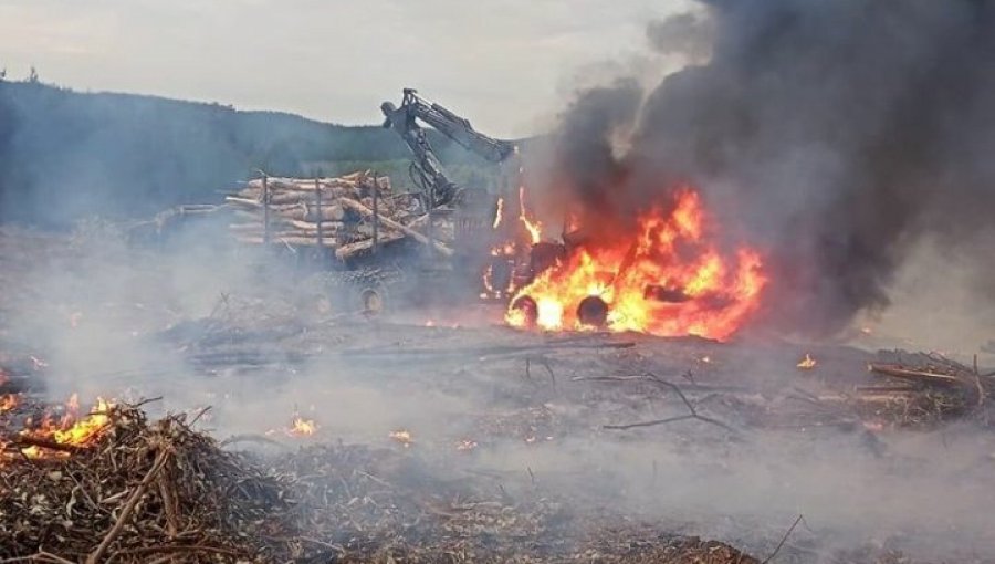 A sólo horas del anuncio de Estado de Emergencia: queman máquinas y camiones en faena forestal de Traiguén