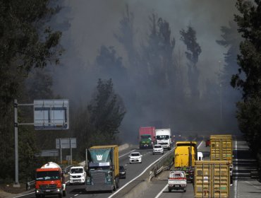 Incendio forestal se registra en la ruta 68 sector Peñuelas de Valparaíso