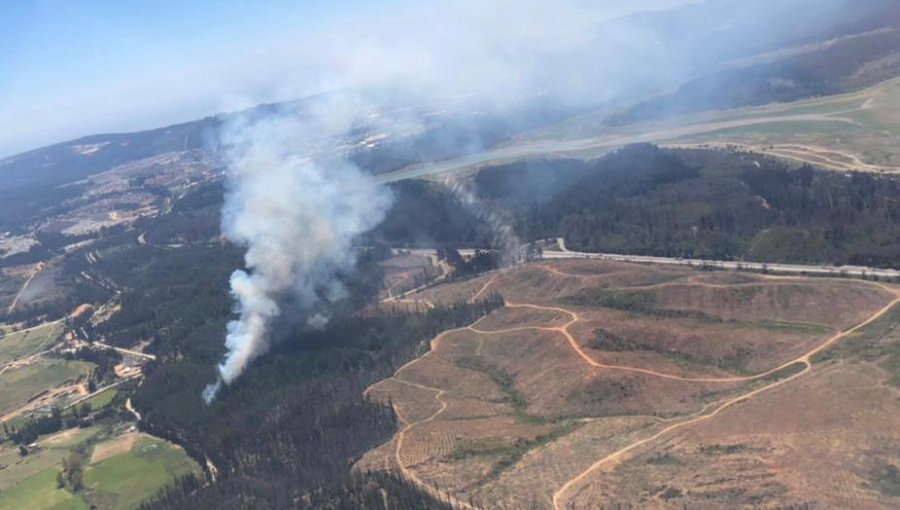 Incendio forestal afecta a sector de Quintay en Valparaíso: se reportan fuertes vientos