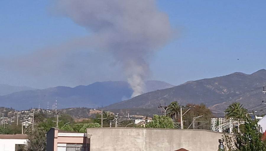 Incendio forestal descontrolado y con avance rápido se registra en el sector Lliu Lliu de Limache