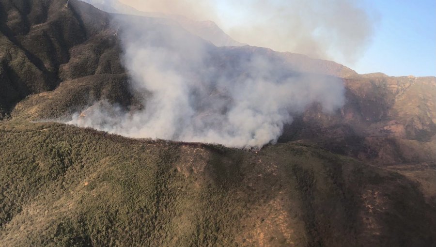 Declaran Alerta Amarilla en Limache por incendio forestal: Ocho hectáreas han sido consumidas
