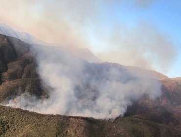 30 hectáreas ha consumido el incendio forestal en el sector Lliu Lliu de Limache: se mantiene la Alerta Amarilla